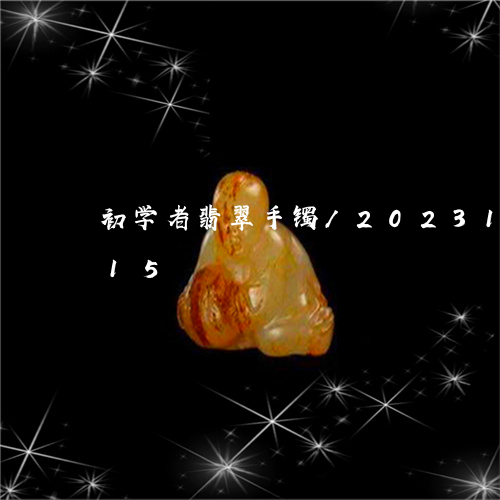 初学者翡翠手镯/2023101603915