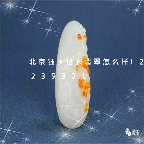 北京钰玉世家翡翠怎么样/2023110239371