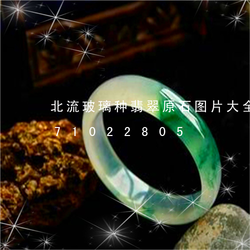 北流玻璃种翡翠原石图片大全/2023071022805