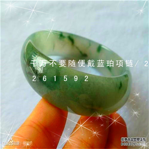 千万不要随便戴蓝珀项链/2023110261592