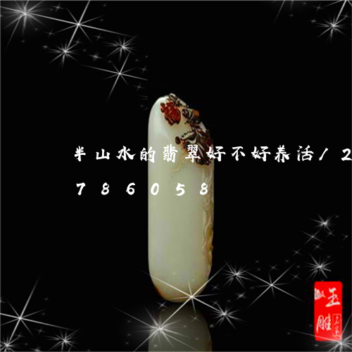 半山水的翡翠好不好养活/2023111786058