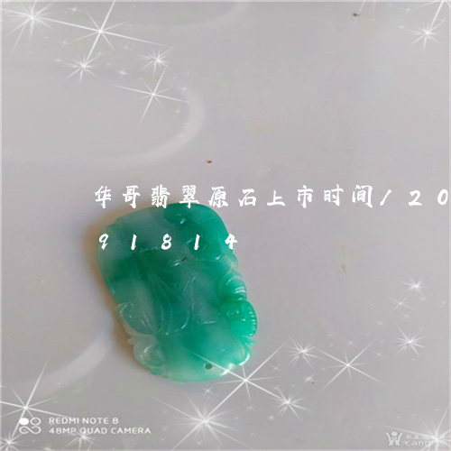 华哥翡翠原石上市时间/2023090791814