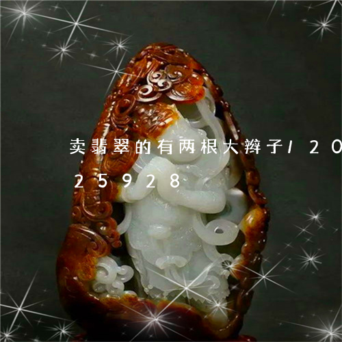 卖翡翠的有两根大辫子/2023120625928