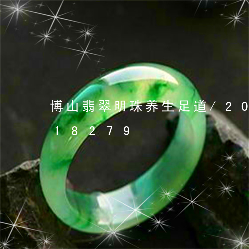 博山翡翠明珠养生足道/2023112418279