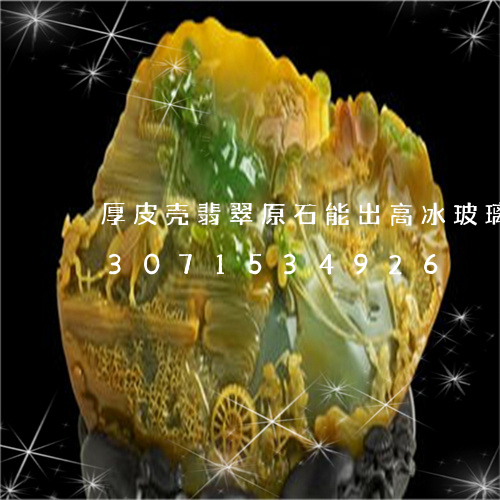 厚皮壳翡翠原石能出高冰玻璃种吗/2023071534926