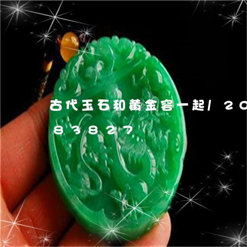 古代玉石和黄金容一起/2023090783827