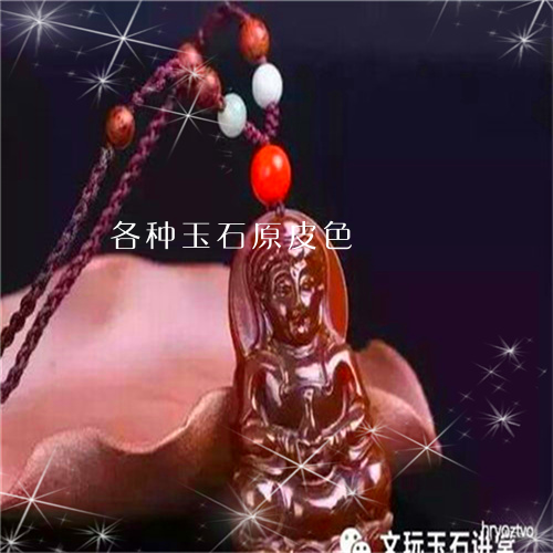 各种玉石原皮色