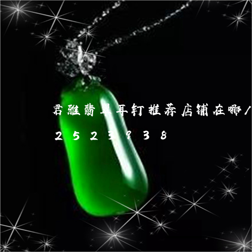 君雅翡翠耳钉推荐店铺在哪/2023112523938