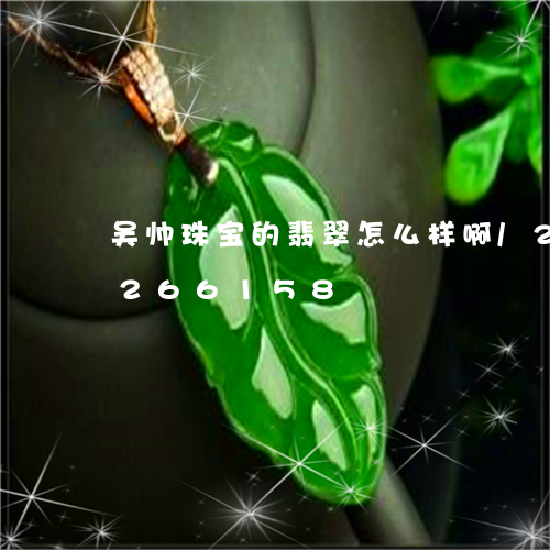 吴帅珠宝的翡翠怎么样啊/2023110266158