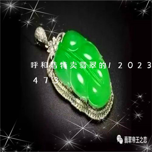 呼和浩特卖翡翠的/2023102490473