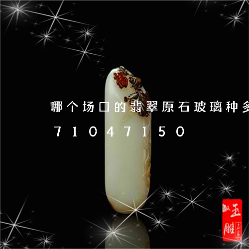 哪个场口的翡翠原石玻璃种多/2023071047150