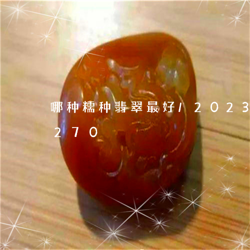 哪种糯种翡翠最好/2023102458270