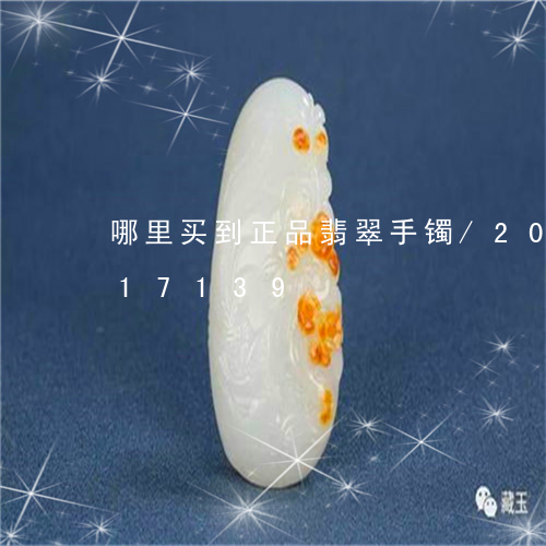 哪里买到正品翡翠手镯/2023090617139