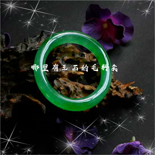 哪里有玉石的毛料卖