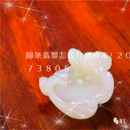 圆条翡翠怎么分辨种水/2023092773805