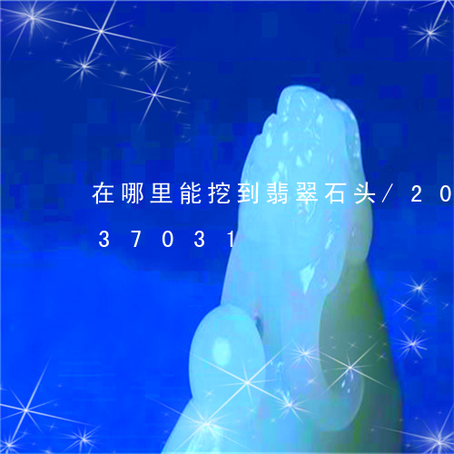 在哪里能挖到翡翠石头/2023090537031