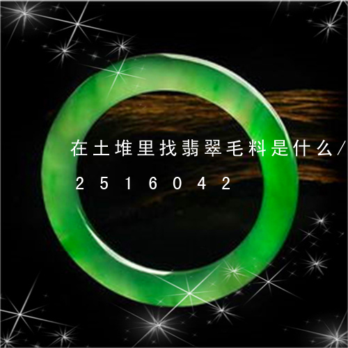 在土堆里找翡翠毛料是什么/2023112516042