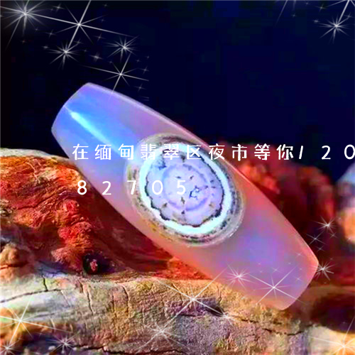 在缅甸翡翠区夜市等你/2023092882705