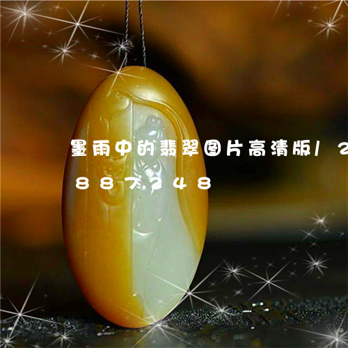 墨雨中的翡翠图片高清版/2023111887248