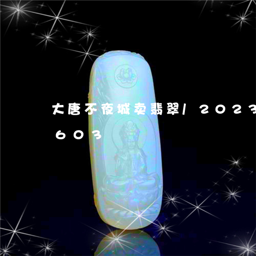 大唐不夜城卖翡翠/2023102431603