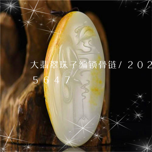 大翡翠珠子编锁骨链/2023120505647