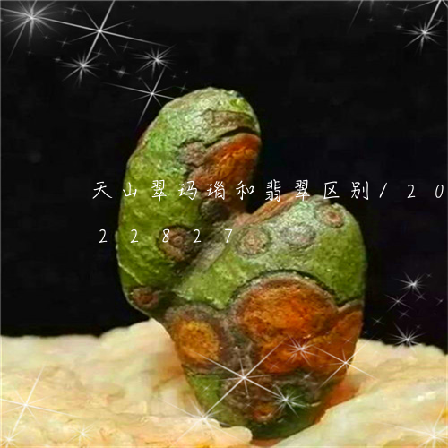 天山翠玛瑙和翡翠区别/2023092922827