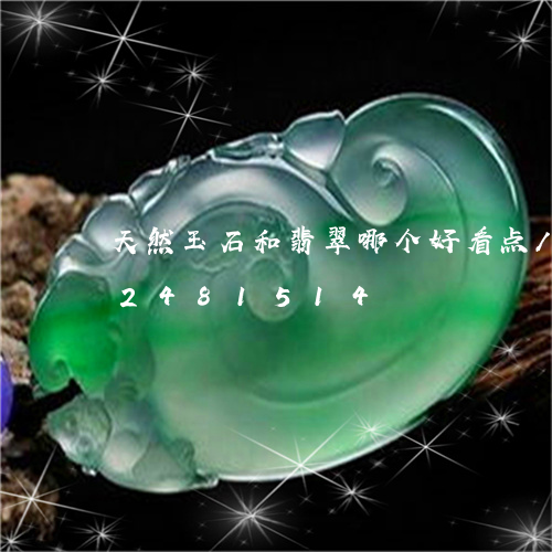 天然玉石和翡翠哪个好看点/2023102481514