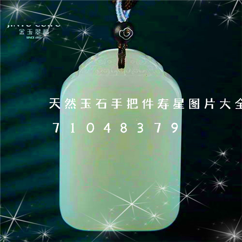 天然玉石手把件寿星图片大全/2023071048379