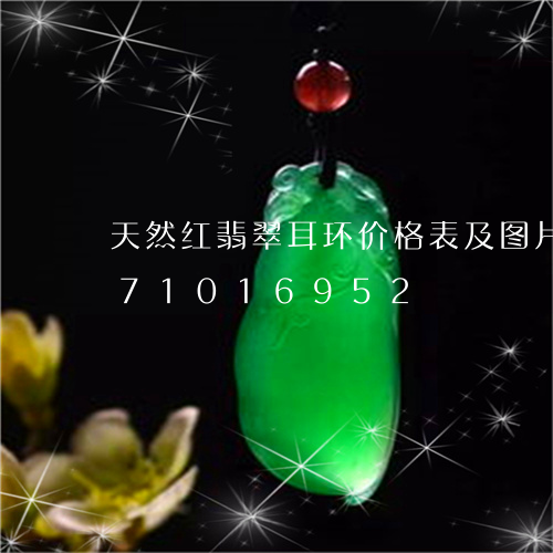 天然红翡翠耳环价格表及图片/2023071016952