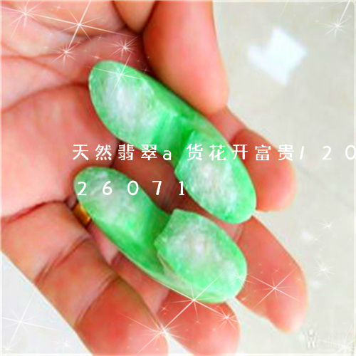 天然翡翠a货花开富贵/2023092826071