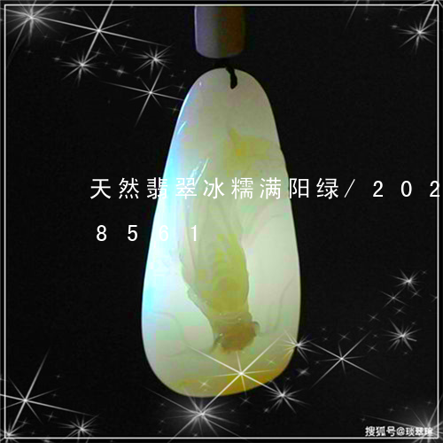 天然翡翠冰糯满阳绿/2023102668561