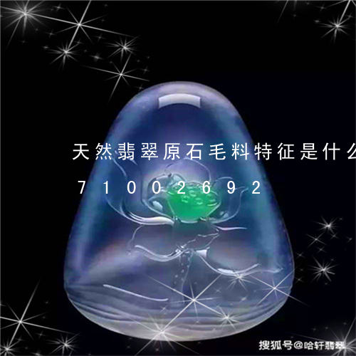 天然翡翠原石毛料特征是什么/2023071002692