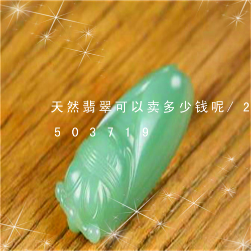 天然翡翠可以卖多少钱呢/2023112503719