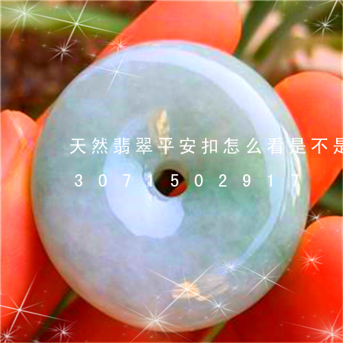 天然翡翠平安扣怎么看是不是a货/2023071502917