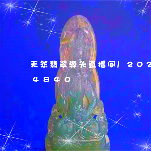 天然翡翠源头直播间/2023102674840