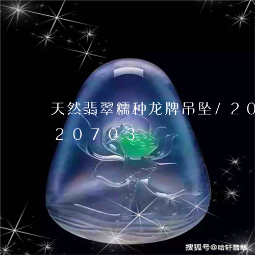 天然翡翠糯种龙牌吊坠/2023092820703