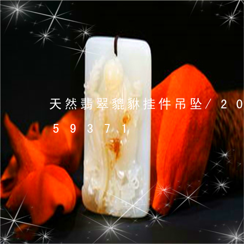 天然翡翠貔貅挂件吊坠/2023120659371