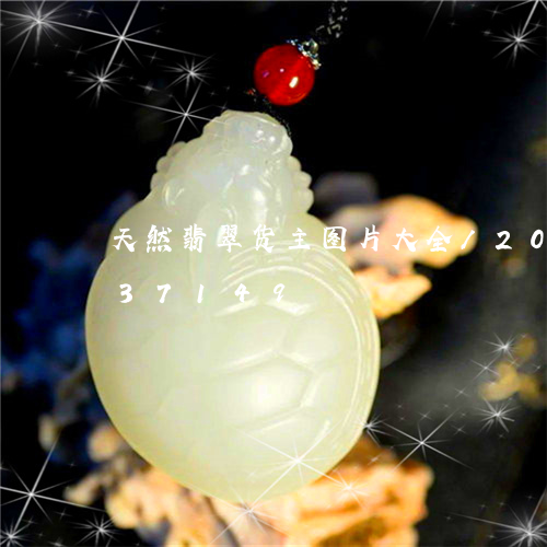 天然翡翠货主图片大全/2023120837149