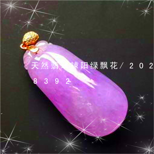 天然翡翠辣阳绿飘花/2023120518392