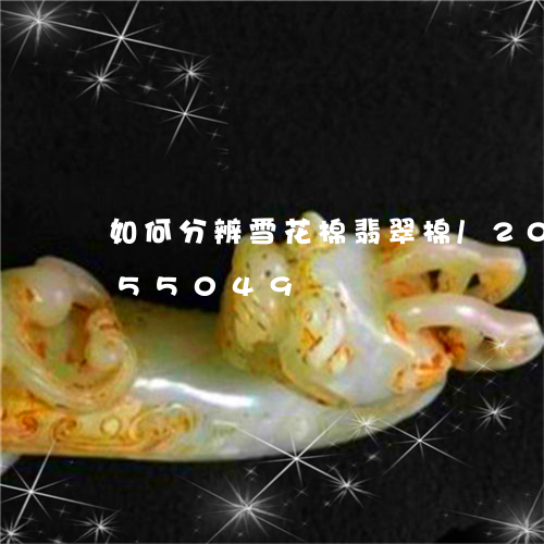 如何分辨雪花棉翡翠棉/2023112455049