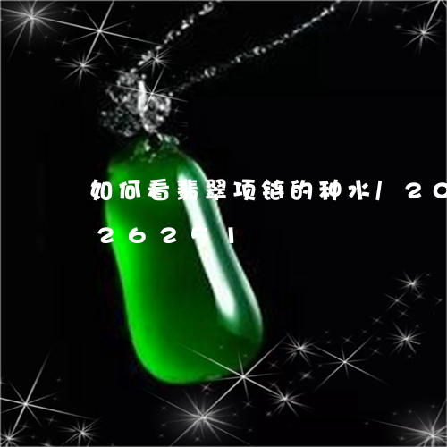 如何看翡翠项链的种水/2023092726251