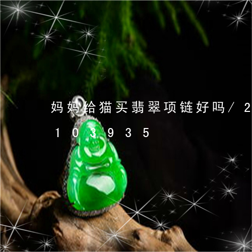 妈妈给猫买翡翠项链好吗/2023110103935