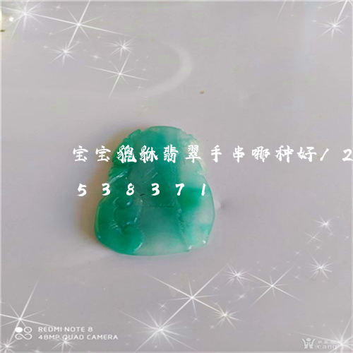 宝宝貔貅翡翠手串哪种好/2023112538371