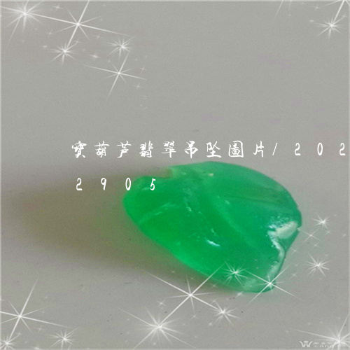 宝葫芦翡翠吊坠图片/2023120562905