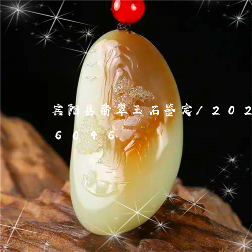 宾阳县翡翠玉石鉴定/2023103106046