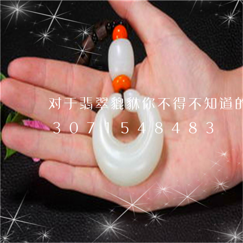 对于翡翠貔貅你不得不知道的事儿/2023071548483