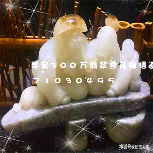 寻宝300万翡翠雪花棉悟道/2023071030495