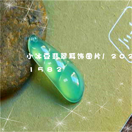 小冰豆翡翠耳饰图片/2023112371582