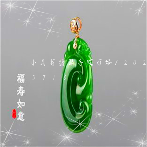 小月芽翡翠手镯可妮/2023102563716