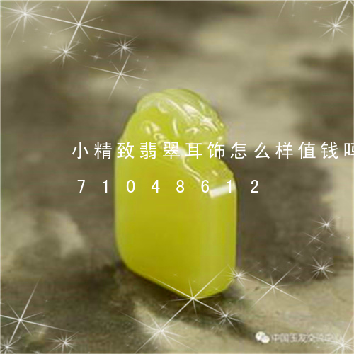 小精致翡翠耳饰怎么样值钱吗/2023071048612